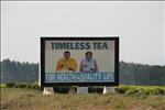 04 Billboards